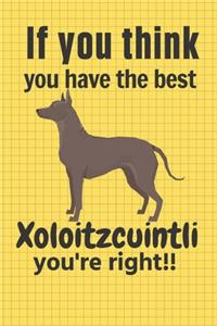 If you think you have the best Xoloitzcuintli you're right!!
