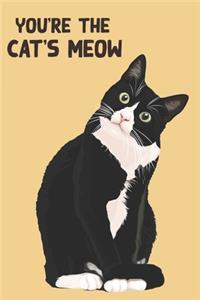 You're The Cat's Meow