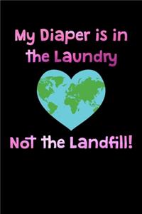 My Diaper is in the Laundry Not the Landfill!