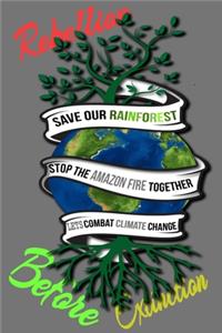 Rain Forest, Amazon Fires & Climate Change