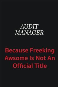 Audit Manager because freeking awsome is not an official title