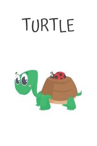 Turtle