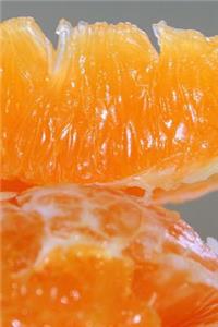 Orange Slice Pulp Journal