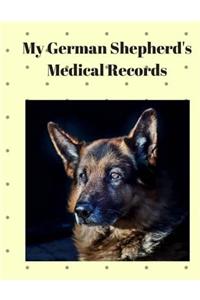 My German Shepherd's Medical Records