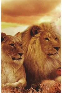 Task Journal, Lined Journal Paper, 140 Pages, 5.5" x 8.5": Lion and Lioness, Safari, African Landscape