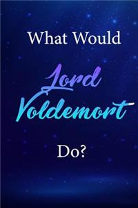 What Would Lord Voldemort Do?