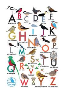 I Like Birds: An Alphabet of Birds Address Book