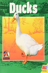 Ducks
