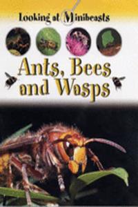 MINIBEASTS ANTS BEES WASPS