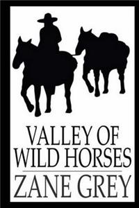 Valley of Wild Horses