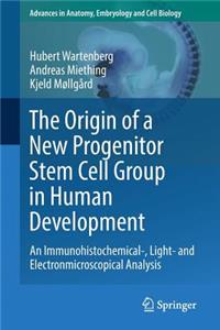 Origin of a New Progenitor Stem Cell Group in Human Development