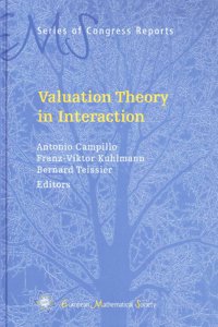 Valuation Theory in Interaction