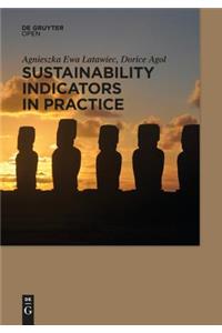 Sustainability Indicators in Practice