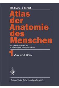 Atlas der Anatomie des Menschen
