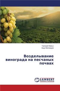 Vozdelyvanie vinograda na peschanykh pochvakh