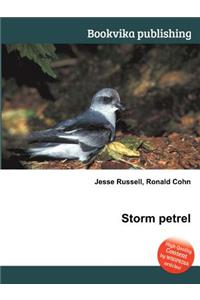 Storm Petrel