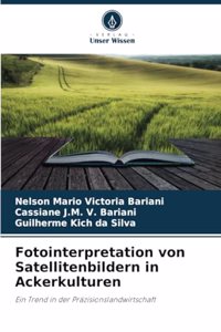 Fotointerpretation von Satellitenbildern in Ackerkulturen