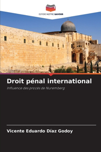 Droit pénal international