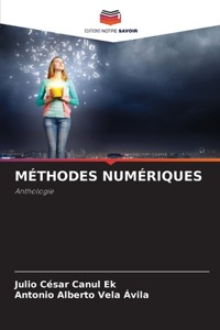 Méthodes Numériques