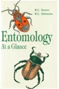 Seed Production of Commercial Vegetables*