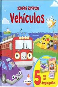 Vehiculos