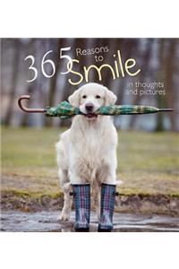 365 Reasons for Smiling
