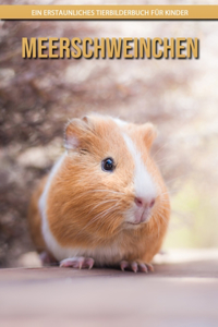 Meerschweinchen