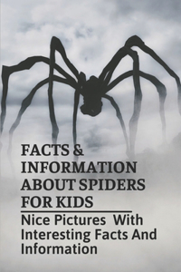 Facts & Information About Spiders For Kids
