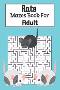 Rats Mazes Book For Adult