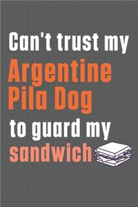 Can't trust my Argentine Pila Dog to guard my sandwich