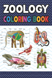 Zoology Coloring Book