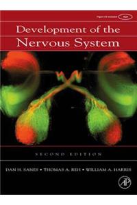 Development of the Nervous System