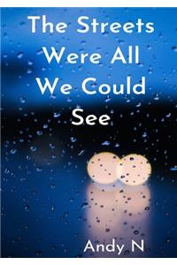 the streets were all we could see