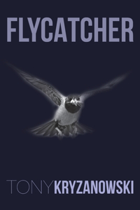 Flycatcher