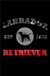 Labrador Retriever