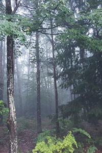 School Composition Book Fog Woods Forest