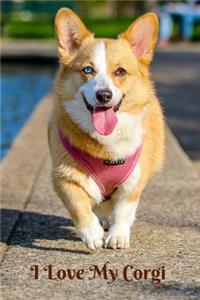 I Love My Corgi