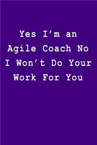 Yes I'm an Agile Coach No I Won't Do Your Work For You