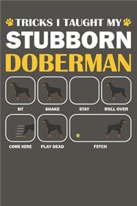 Doberman Journal