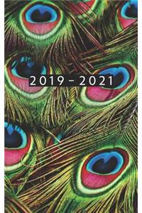 2019 - 2021