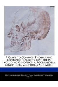 A Guide to Common Phobias and Recognized Anxiety Disorders, Including Genophobia, Agoraphobia, Xenophobia, Zoophobia and More
