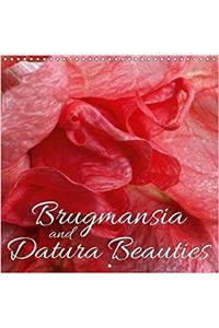 Brugmansia and Datura Beauties 2018