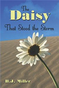 Daisy That Stood the Storm