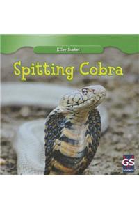 Spitting Cobra