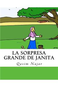 Sorpresa Grande de Janita