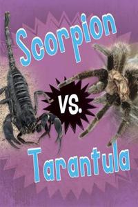 Scorpion vs. Tarantula