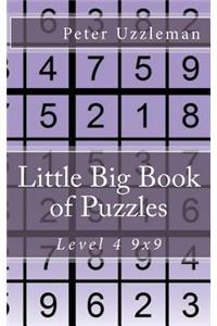 Little Big Book of Puzzles