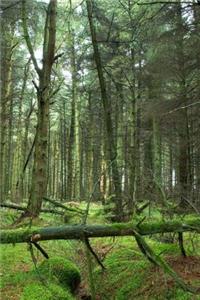 Mind Blowing Green Forest Journal