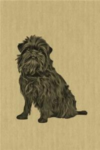 Affenpinscher