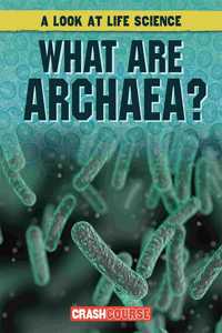 What Are Archaea?